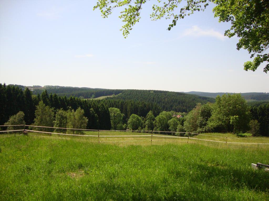 Haus Hohensee Clausthal-Zellerfeld Exterior foto
